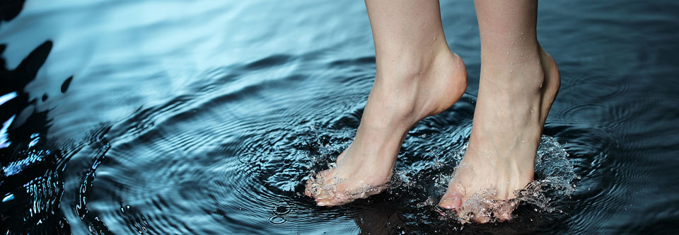 Get your feet wet - LIFE OF A LIZARD